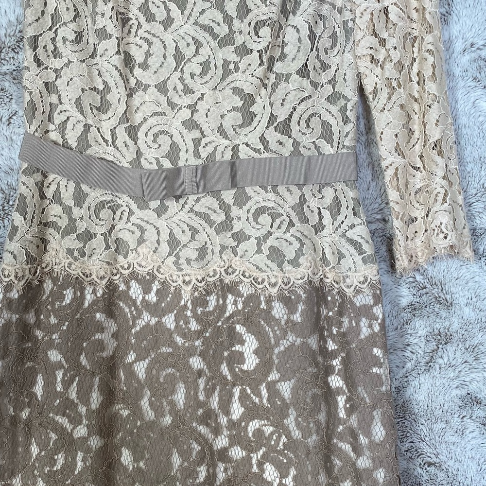 Tadashi Shoji Formal Lace Evening Gown Neutral Mother of Bride Elegant Size 6 - Picture 10 of 14